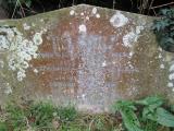 image of grave number 557035